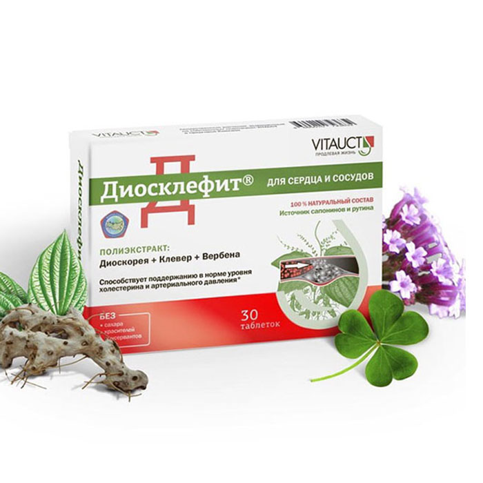 Порно онлайн трахты үйретеді