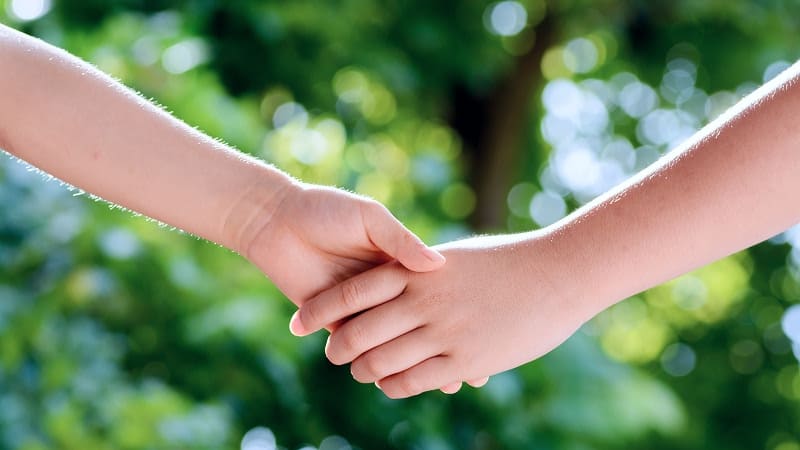 цикл человеческой аскариды