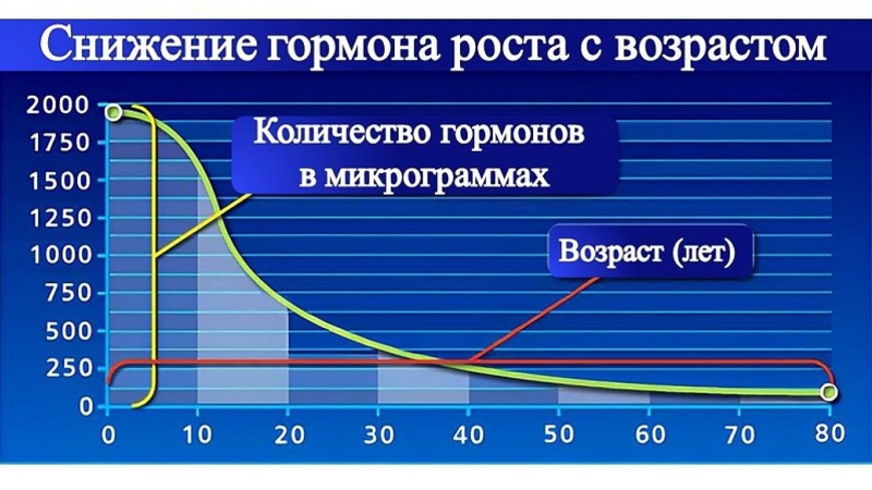 динамика уровня гормона с возрастом