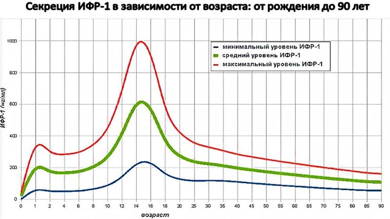 динамика изменений уровня ИФР в зависимости от возраста