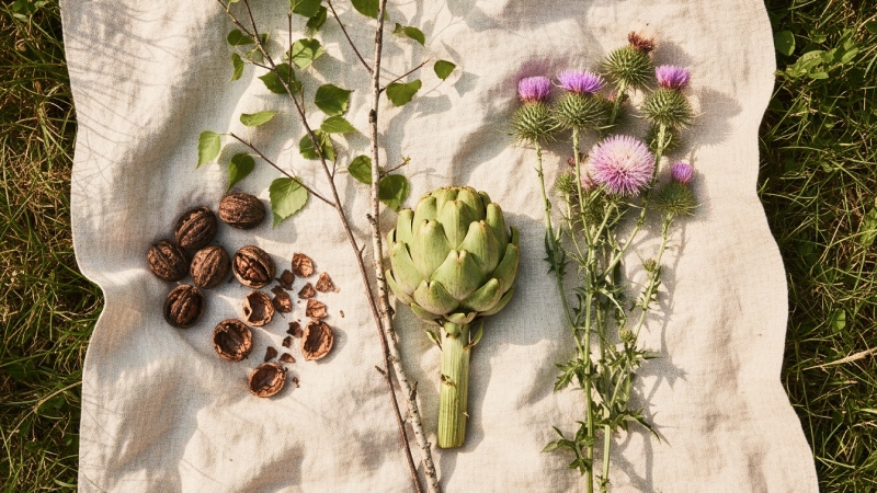 можно ли вылечить фиброз печени