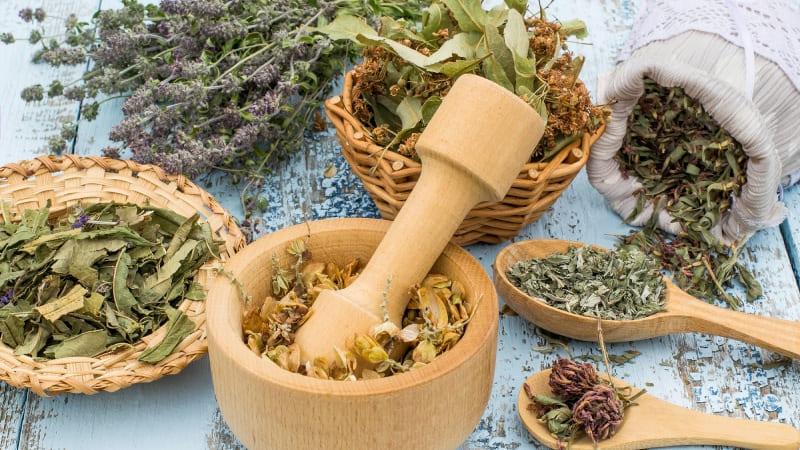 травы для печени