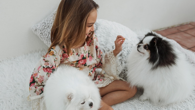 девочка играет с кошками