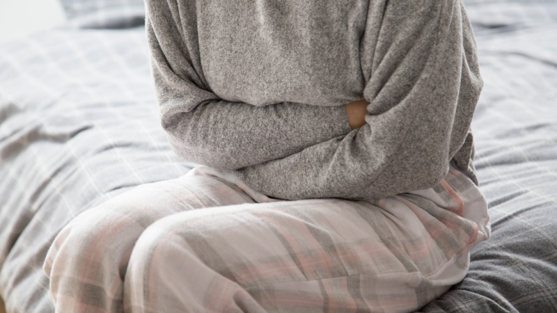 бластоцисты