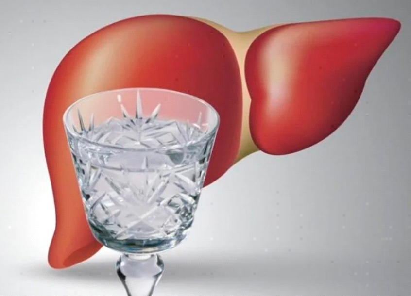Алкогольное поражение печени что включает в себя, клинические рекомендации