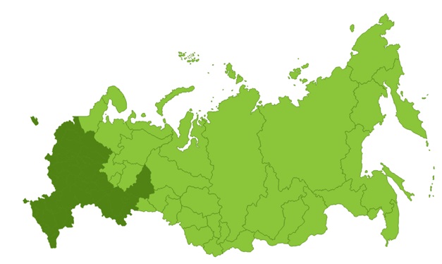 Золототысячник 002.jpg Золототысячник 002.jpg