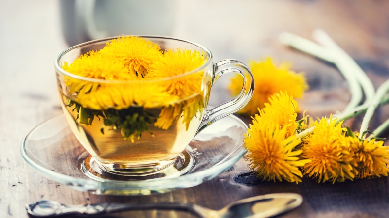 какие травы помогают печени