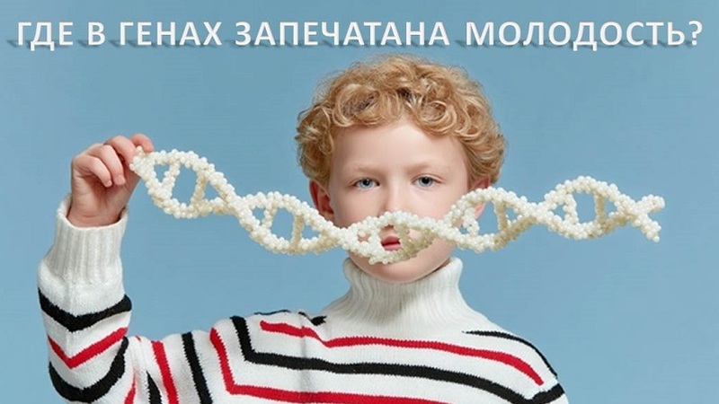 гены и молодость