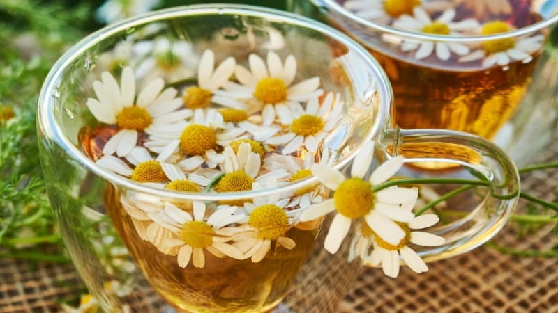 какими травами можно лечить печень