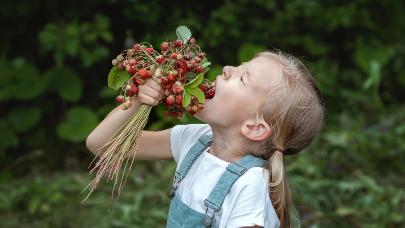 ребенок есть ягоды грязными руками